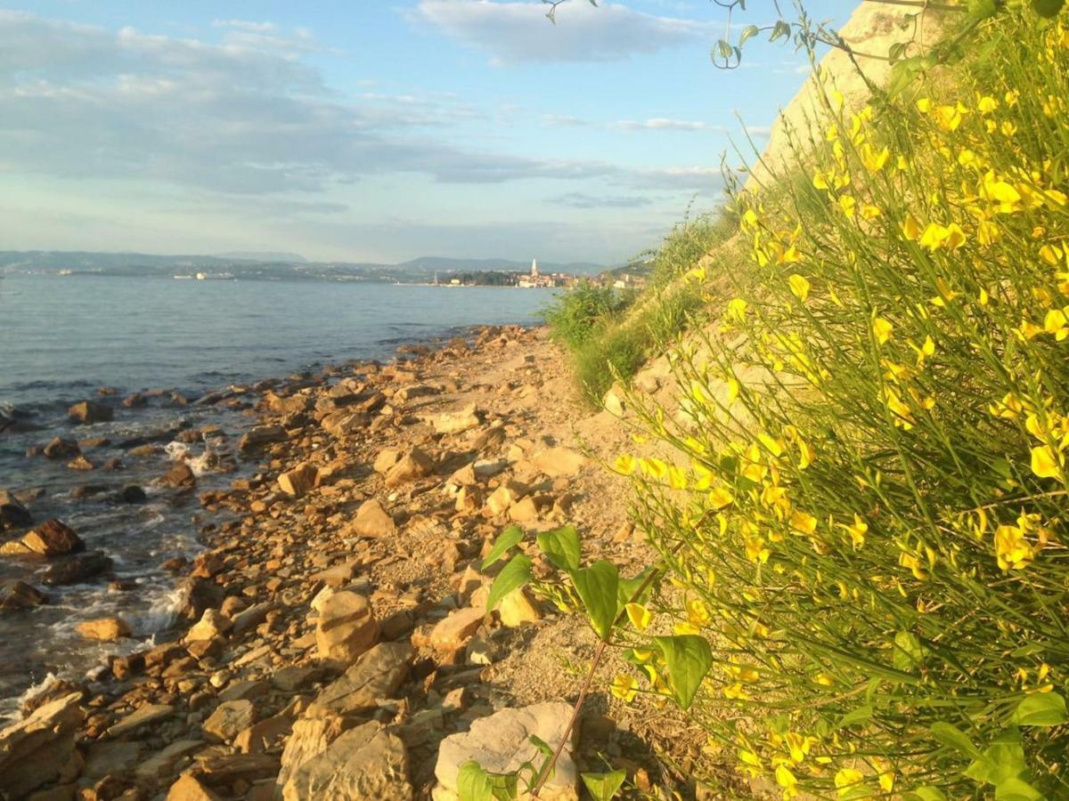 Apartma Ada Izola Exteriér fotografie